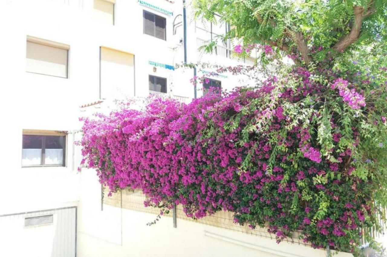 Con Encanto, 100m2, A 800 M De La Playa El Campello
